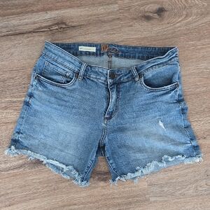 Kut from the Kloth Kity Boyfriend Short